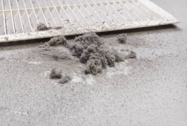 Best Professional Duct Cleaning Services  in Ansonia, CT